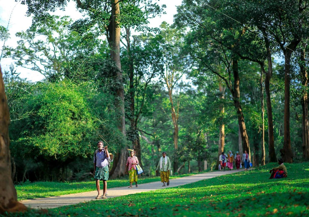 Tusker Inn Wayanad Forest Villa By Voye Homes Bagian luar foto