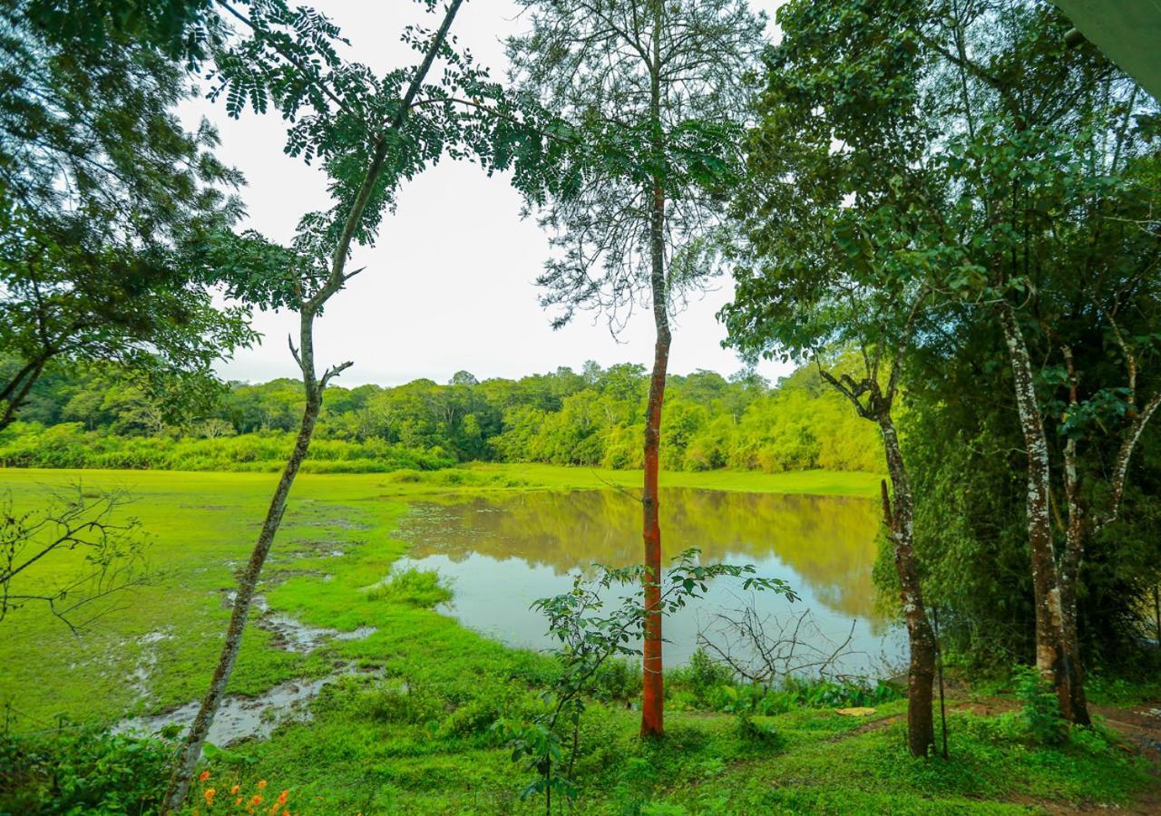 Tusker Inn Wayanad Forest Villa By Voye Homes Bagian luar foto